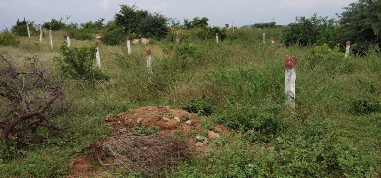 Janachaitanya Sai Nagar Toopranpet village