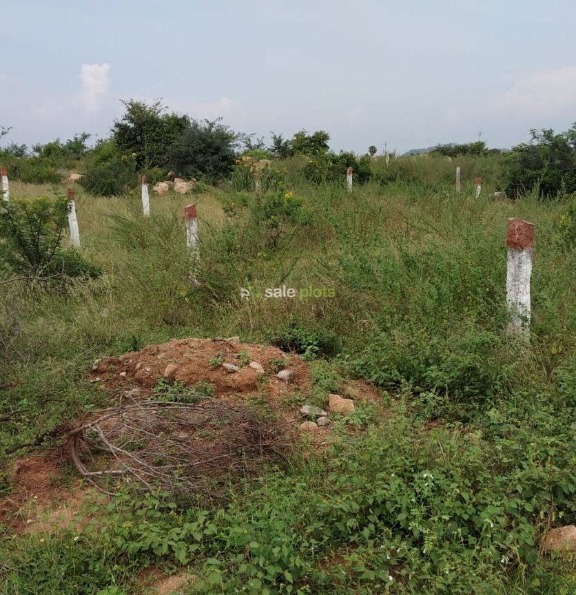 Janachaitanya Sai Nagar Toopranpet village