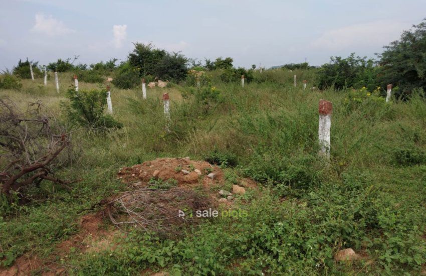 Janachaitanya Sai Nagar Toopranpet village