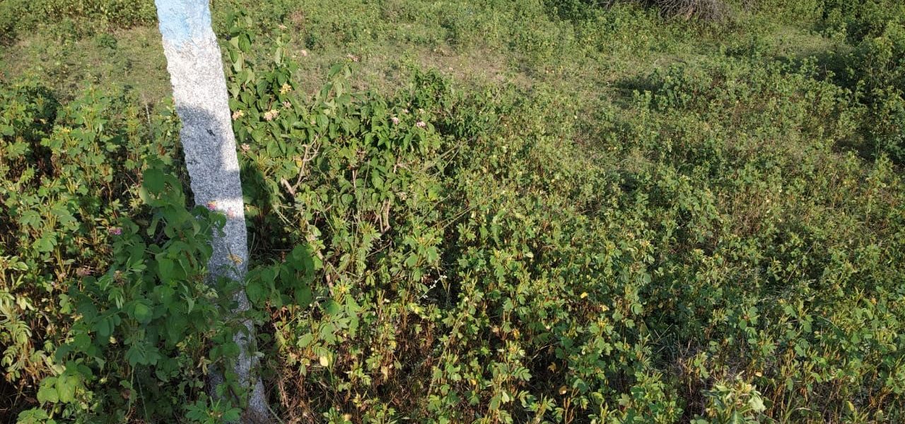 Janachaitanya-Sai-Jyothi-Mangalpally-Village-Ibrahimpatnam