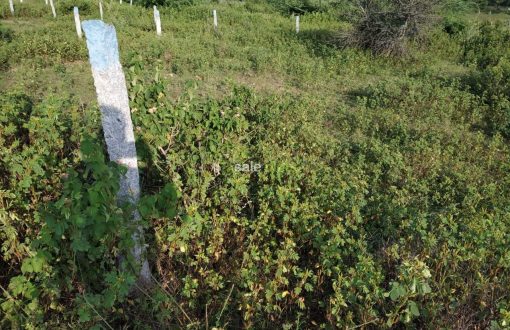 Janachaitanya-Sai-Jyothi-Mangalpally-Village-Ibrahimpatnam