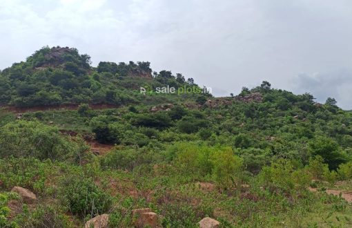 Sreemitra Township Mount Vegas Plots Kothaguda Batasingaram Hyderabad