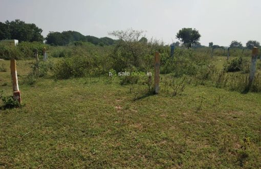 Sri Kalpatharu Township Plots Abdullapurmet Rangareddy Hyderabad Telangana